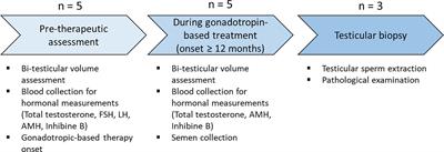 Effect of Recombinant Gonadotropin on Testicular Function and Testicular Sperm Extraction in Five Cases of NR0B1 (DAX1) Pathogenic Variants